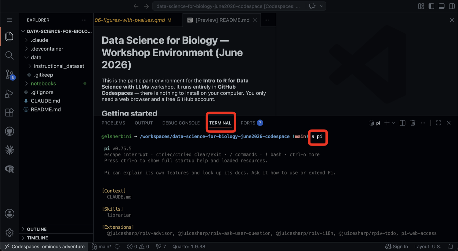 Codespace with the integrated terminal open and the pi command typed at the prompt