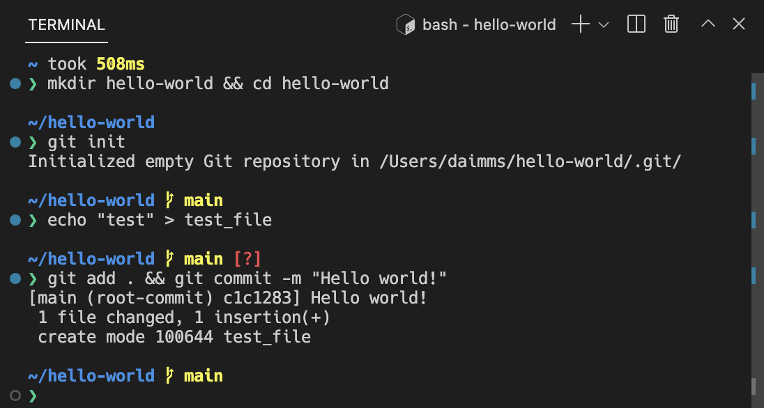 The VS Code window with the integrated terminal open in a panel along the bottom.